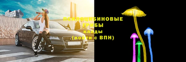 Альфа ПВП Абаза