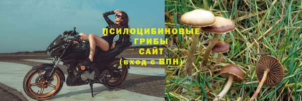 мяу мяу мука Абдулино