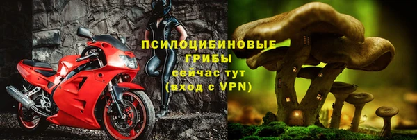 мяу мяу мука Абдулино