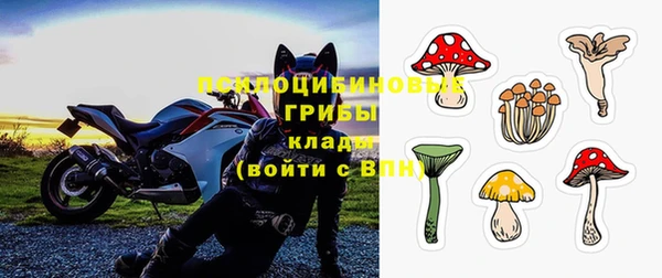 Альфа ПВП Абаза