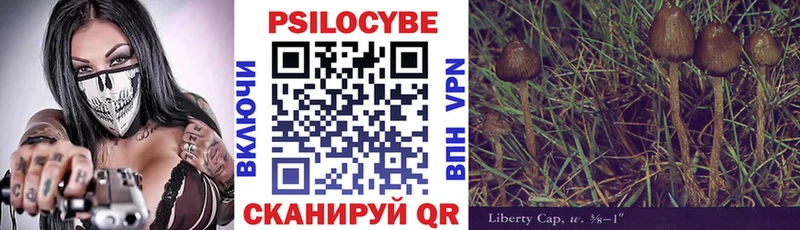 МЕГА онион  Камызяк  Псилоцибиновые грибы Psilocybine cubensis 